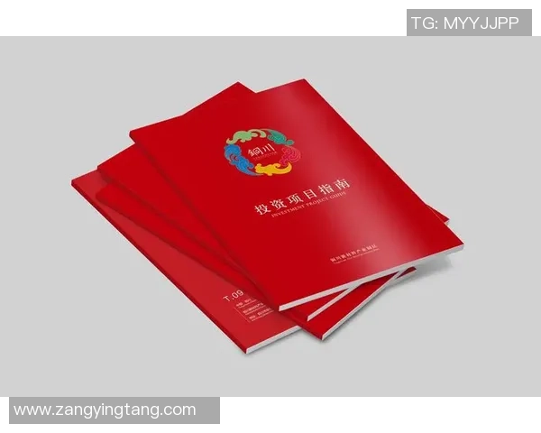 五人足球场投资指南如何实现收益最大化与风险控制